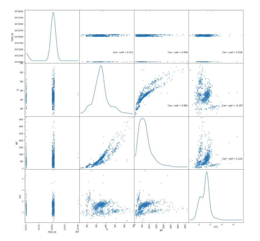 scatterplot